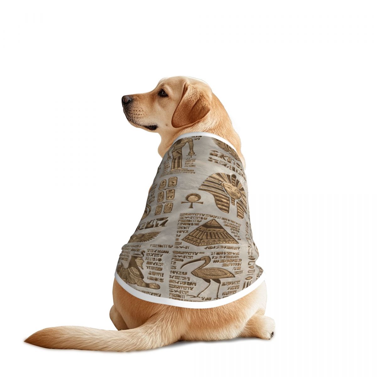 Pet Supplies Egypt - Египетские иероглифы и божество, жилеты для