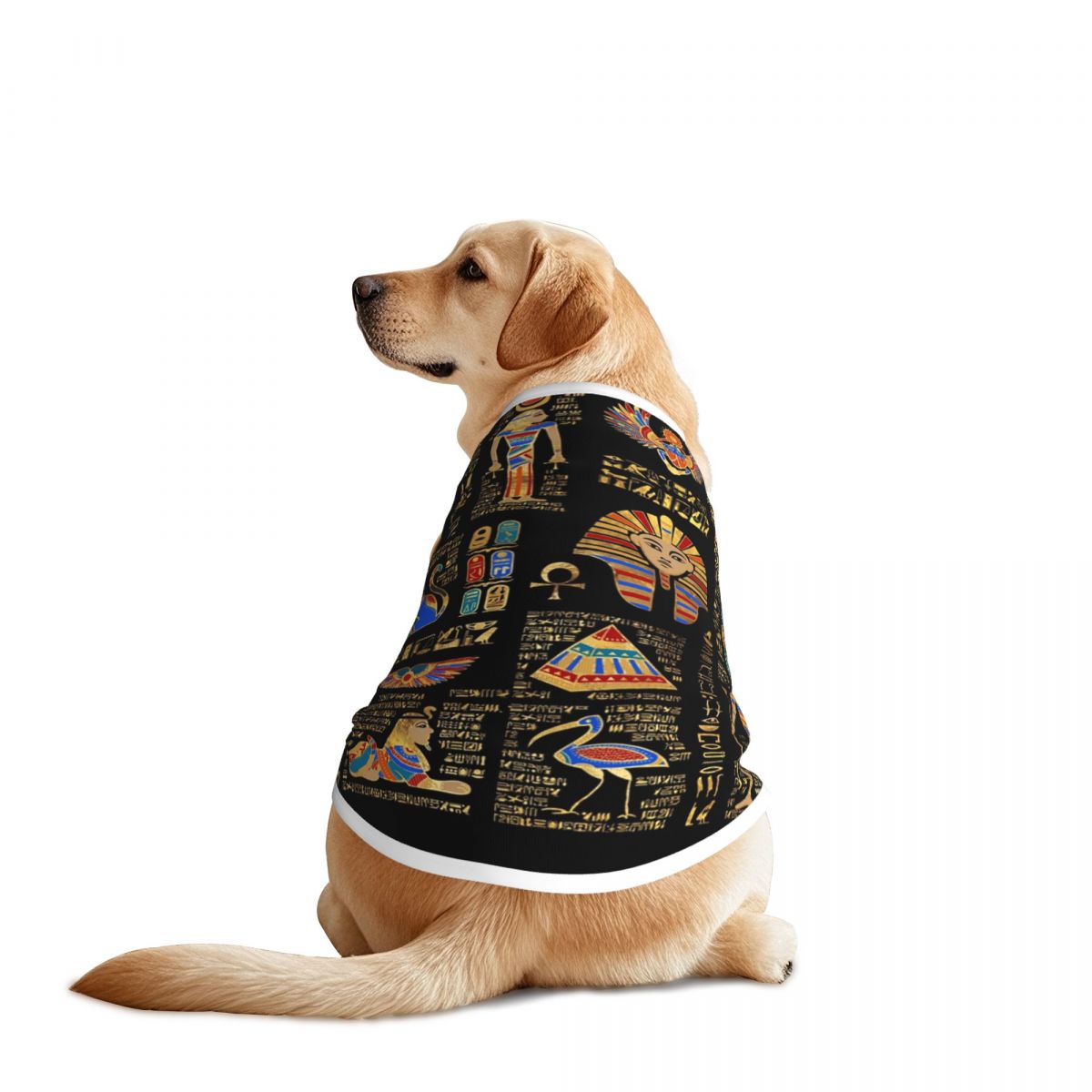 Pet Supplies Egypt - Египетские иероглифы и божество, жилеты для