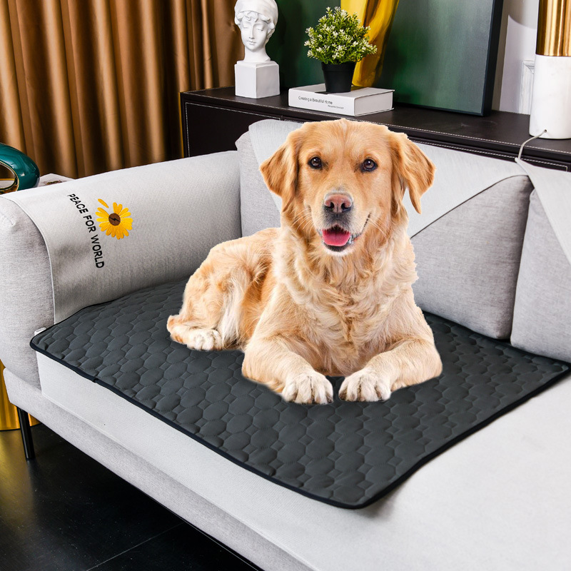 Коврик для мочи для собак, мою – обзор и цена Pet Supplies Dog Wash