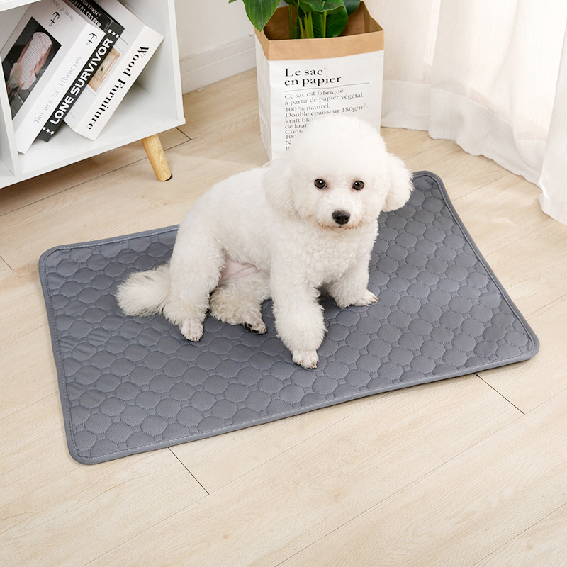 Многоразовый впитывающий коври – обзор и цена Pet Supplies Dog Wash
