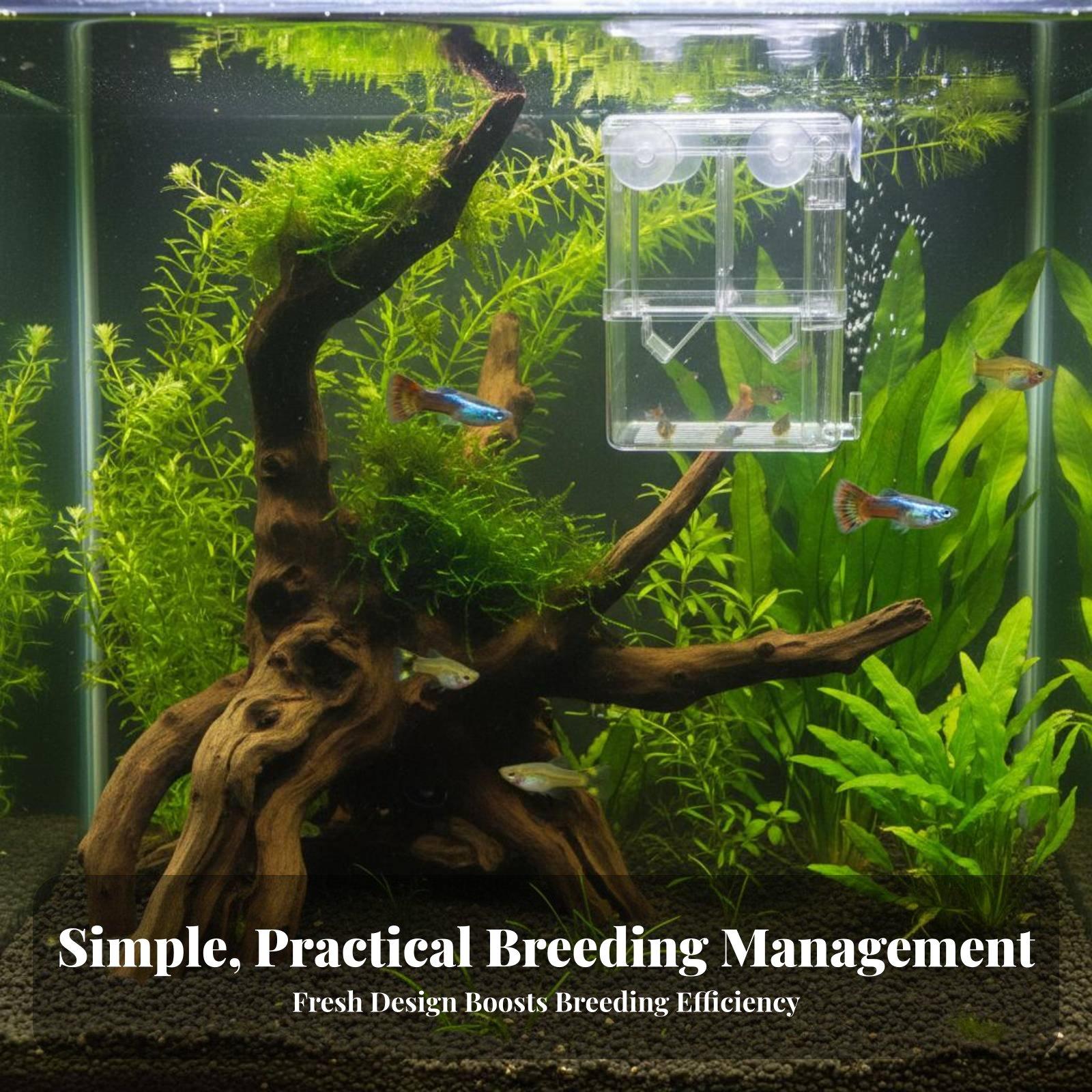 Двухслойный аквариумный резерв – обзор и цена Aquarium Fish Tank