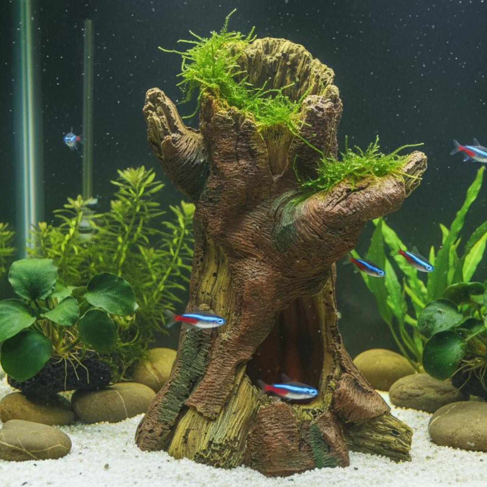 Декор для аквариума: Декоратив – обзор и цена Aquarium Fish Tank