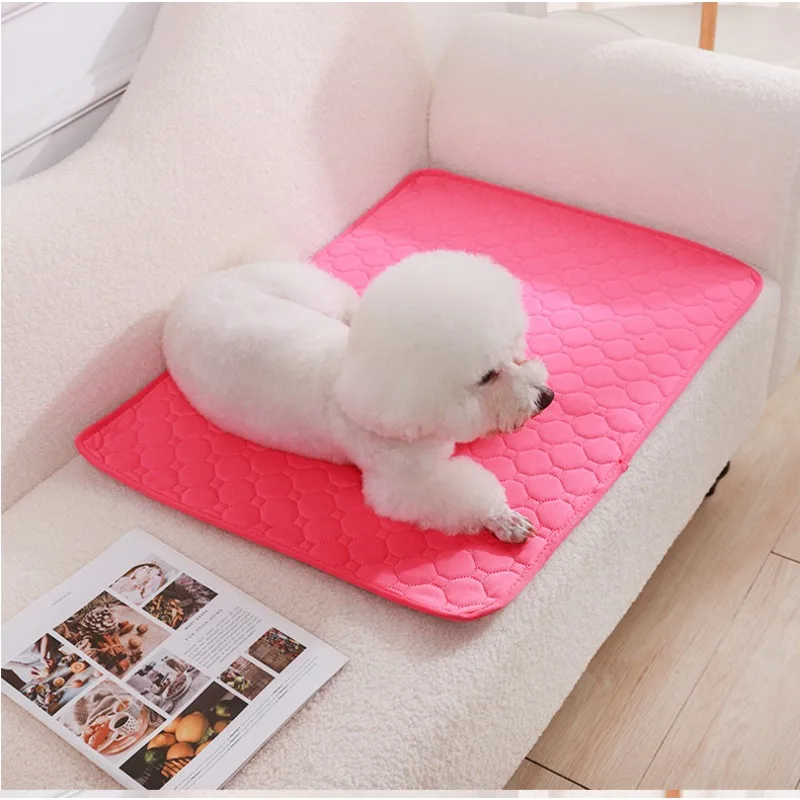 Многоразовый впитывающий коври – обзор и цена Pet Supplies Dog Wash