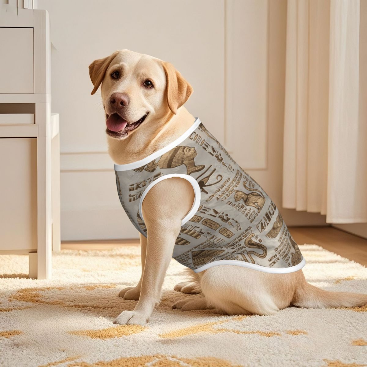 Египетские иероглифы и божеств – обзор и цена Pet Supplies Egypt