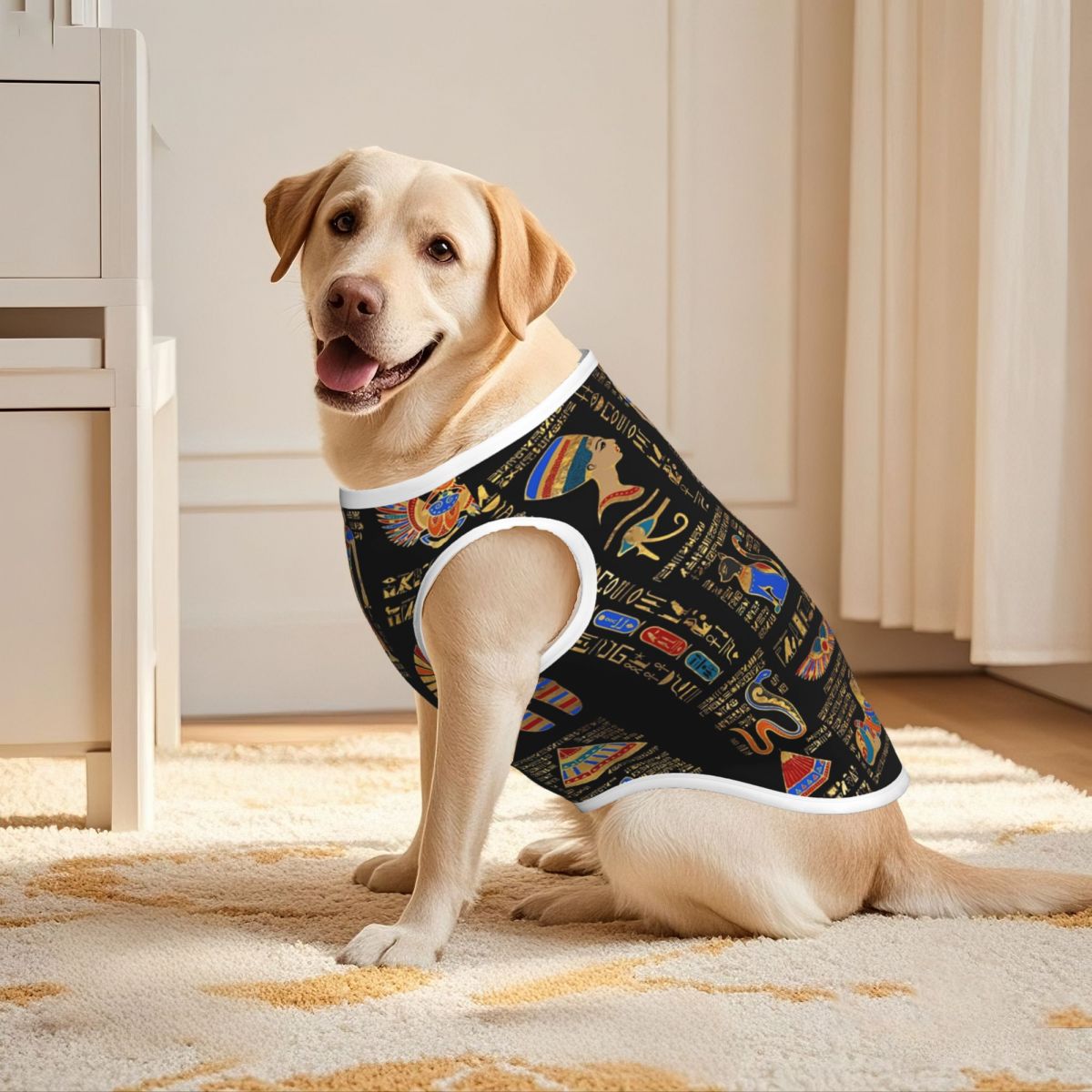Египетские иероглифы и божеств – обзор и цена Pet Supplies Egypt
